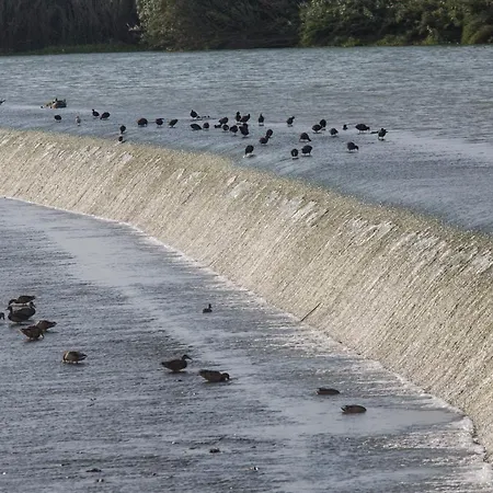 شقة 4-seasons Penthouse *